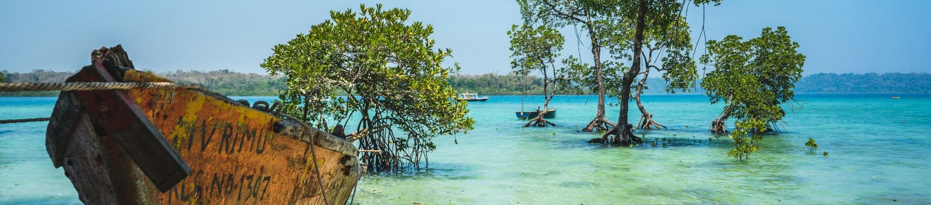 Island Escape: Discover Andaman's Natural Wonders