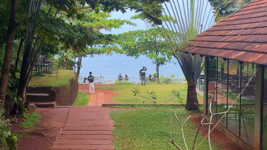 Kerala Highlights – Hills, Wildlife & Backwaters